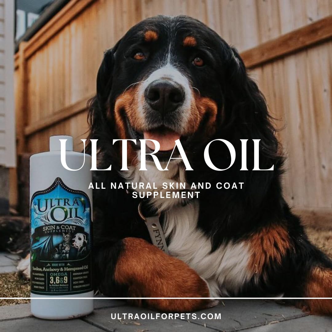 Ultra Oil Skin and Coat Supplement for Dogs & Cats - Hemp Seed Oil, Flaxseed Oil, Grape Seed Oil, Fish Oil for Relief from Dry I